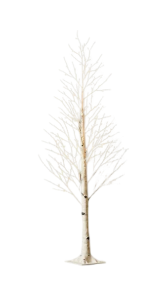 LED Birch Tree