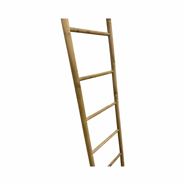 Ladder