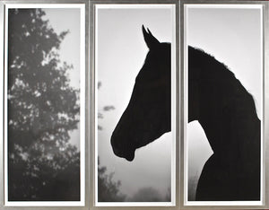 Horse Triptych