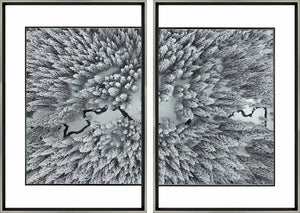 Aerial View Diptych